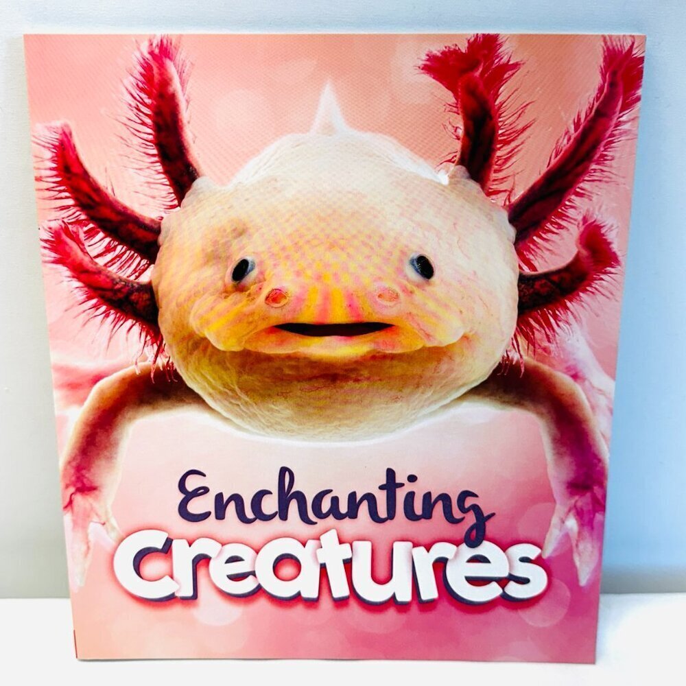 Enchanting Creatures - Paperback By Camilla de la Bedoyere - BRAND NEW